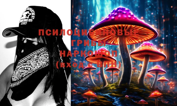 мяу мяу мука Алексеевка