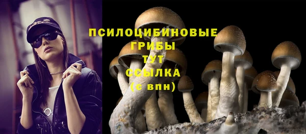 мяу мяу мука Алексеевка